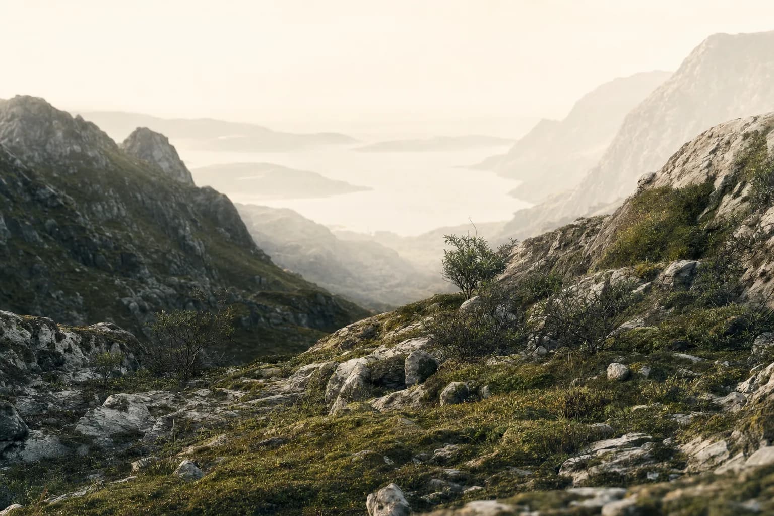 Editorial terrain landscape representing market conditions